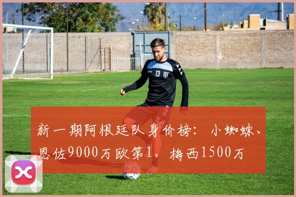 新一期阿根廷队身价榜：小蜘蛛、恩佐9000万欧第1，梅西1500万