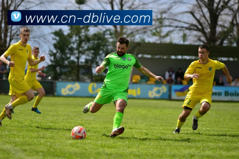 App Interface Preview