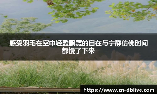 DB真人视讯