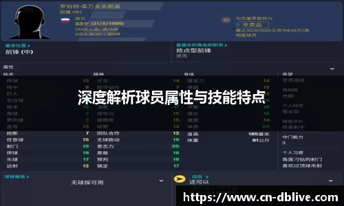 DB真人视讯官网